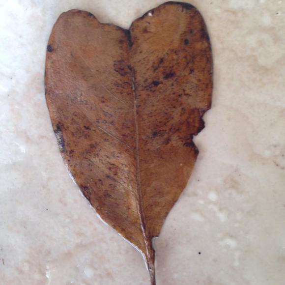 Meet your Posher, Suzanne - Picture 1 of 1